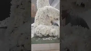 the secret of creating a teddybear fresh flowers@bonnie g