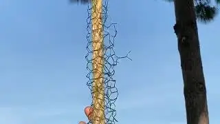 How to decorate a flower swing