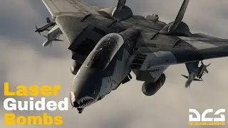 F-14 Laser Guided Bombs Tutorial | Gbu 12, 14, 16 | DCS World