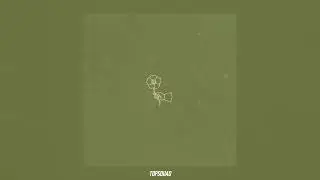 Christian Hayes - Wildflower