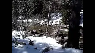 West Fork Rock Creek Red Lodge Montana