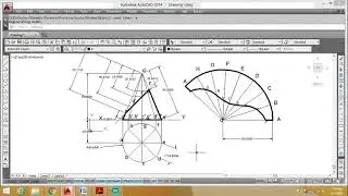 Development of Cone