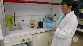 Protocol for IMOS microscopic phytoplankton sample collection