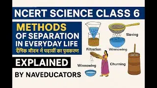 Methods of Separation in Everyday Life | NCERT Class 6 Science Chapter 9 | MCQs Explained