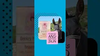 Donkey Milk Soap