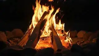 New moon meditation for Dec 19th 2025! Wolf and Sagittarius energy to accompany in this new cycle! 