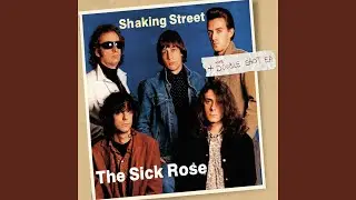 Shaking Street