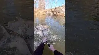 Your sign to go fishing with your friends: 🎣 #steelhead #fishing #fishinglife #fishingtrip #fish