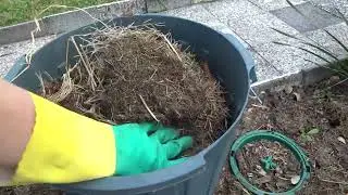 Composting Scurvy Plants and Weeds - Fast and Easy 5 Different Methods