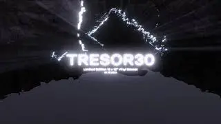 Tresor 30 &ndash; Limited Edition 12 x 12