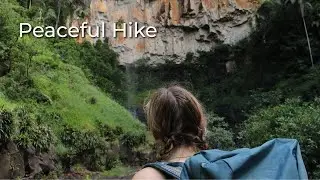 Forest Hiking With Beautiful Views
