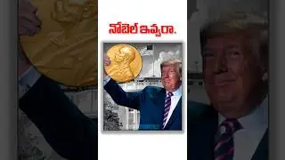 😤🏅8 Wars Stopped, Still No Nobel? || Raw Activities