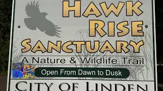 HAWK RISE SANCTUARY IN LINDEN NEW JERSEY