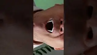 How to make vampire teeth with paper easy for Halloween 🎃 [Origami tutorial]