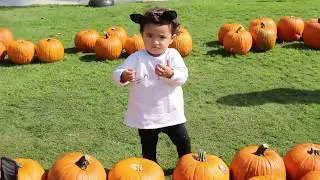 HEY PUMPKIN