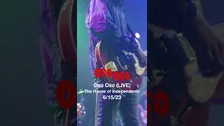 Oso Oso (LIVE) - 'Basking in the Glow'