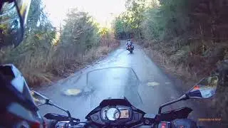 Adventure Riding in Oregon