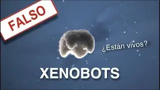 ¿Qué Hace que Algo esté Vivo?