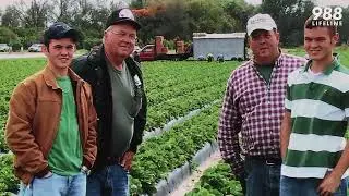 Faces of 988: Farmer&rsquo;s Story of Tackling Farm Stress