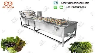 Industrial Leafy Vegetable Washing Machine/Commercial Leafy Vegetable Cleaning Line