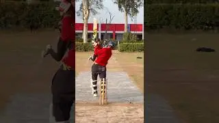 Beautiful 🤩 Straight 6 #cricket #hardball #hardballmatch #cricketbatting #hardballbatting