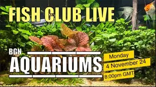 BGN Aquariums Fish Club 4/11/24