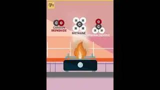 Why Gas Stoves Are Dangerous 😱