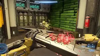 Best Melee Combos in Halo Infinite