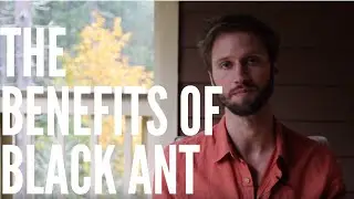 The Benefits of Black Ant Extract