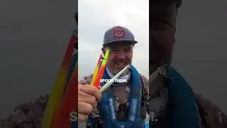 My top lures for workups