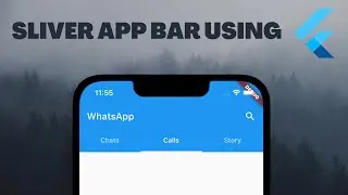 Collapsible App Bar in Flutter | Sliver App Bar