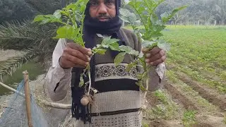 Farmers Demo video about oro AGRI Products