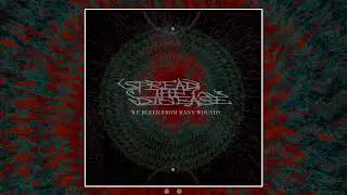 SPREAD THE DISEASE - We Bleed From Many Wounds (Full Album)