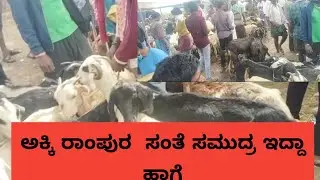 ತುಮಕೂರು ಜಿಲ್ಲೆಯ  ದೊಡ್ಡ ಸಂತೆ akkirampura@ agrianimals