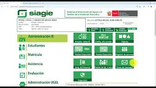 SIAGIE - Designar docente titular