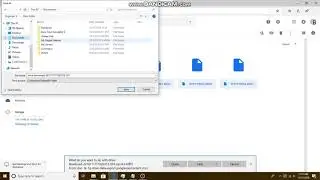 How to get the BIOS files for PCSX2 for free No BS