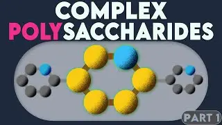 Structural Polysaccharides | Cellulose, Chitin & Peptidoglycan | BIOMOLECULES NCERT Class 11 Biology