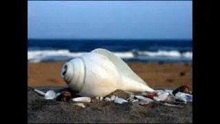 Morning Tide- Poets of the Fall
