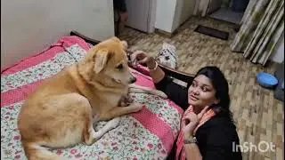#world of Komal Swami#vlog masti with 🐕 #my❤️#hyped 