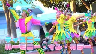 【４K】ハーモニー・イン・カラー