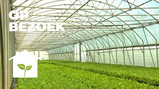 Op bezoek bij LocalTea deel 1