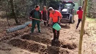 Wunderwerk Wald - Ein Jahr im Forstrevier - Kapitel 7: Waldpflege im Fr&uuml;hjahr