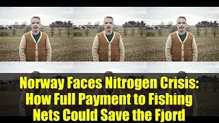 Norway Faces Nitrogen Crisis: How Full Payment to Fishing Nets Could Save the Fjord