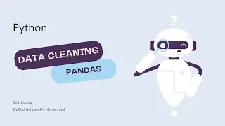 Data Cleaning with pandas | Python