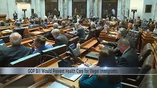 Assembly bill targets health care for undocumented immigrants