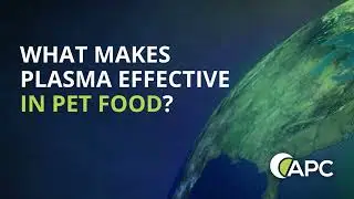 WHAT MAKES PLASMA EFFECTIVE IN PET FOOD