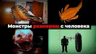 УЖАСЫ КАМЕННОУГОЛЬНОГО ПЕРИОДА