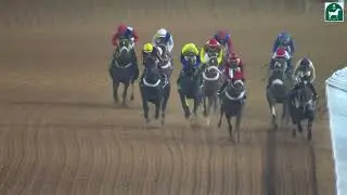 RIYADH RACING SEASON MEETING NO 65 RACE NO 7