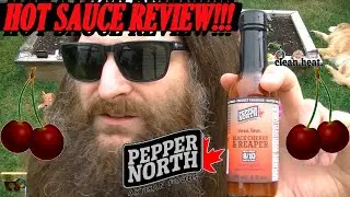 Pepper North's Black Cherry & Reaper hot sauce and a look at some of our ravaged plants..!