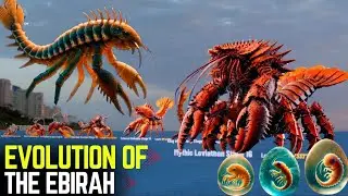 Evolution Of The Ebirah  | #amazing #animal